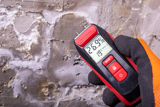 Best Crawl Space Mold Removal  in Aromas, CA