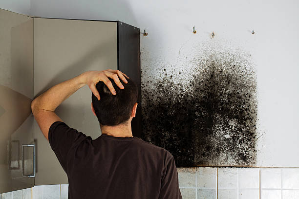 Best Mold Testing  in Aromas, CA