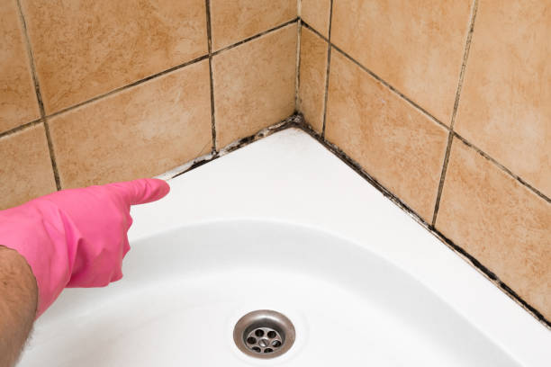 Best Emergency Mold Removal  in Aromas, CA
